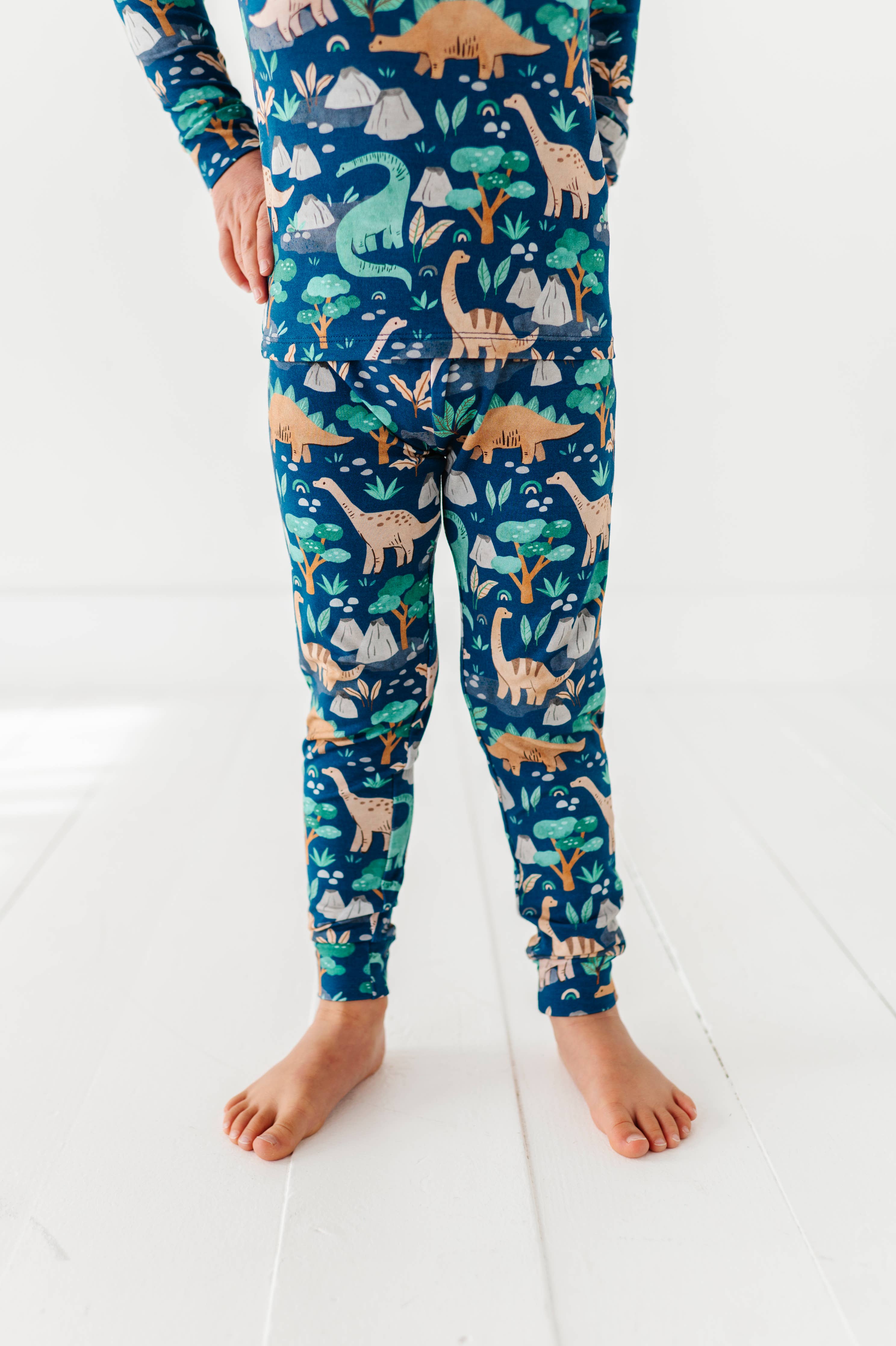 Kids Bamboo Pajamas - Bamboo Fall Clothing- Arlo Dinosaur : 3