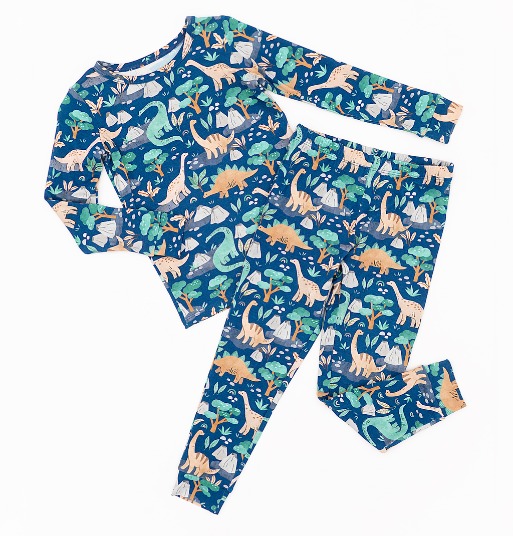 Kids Bamboo Pajamas - Bamboo Fall Clothing- Arlo Dinosaur : 6