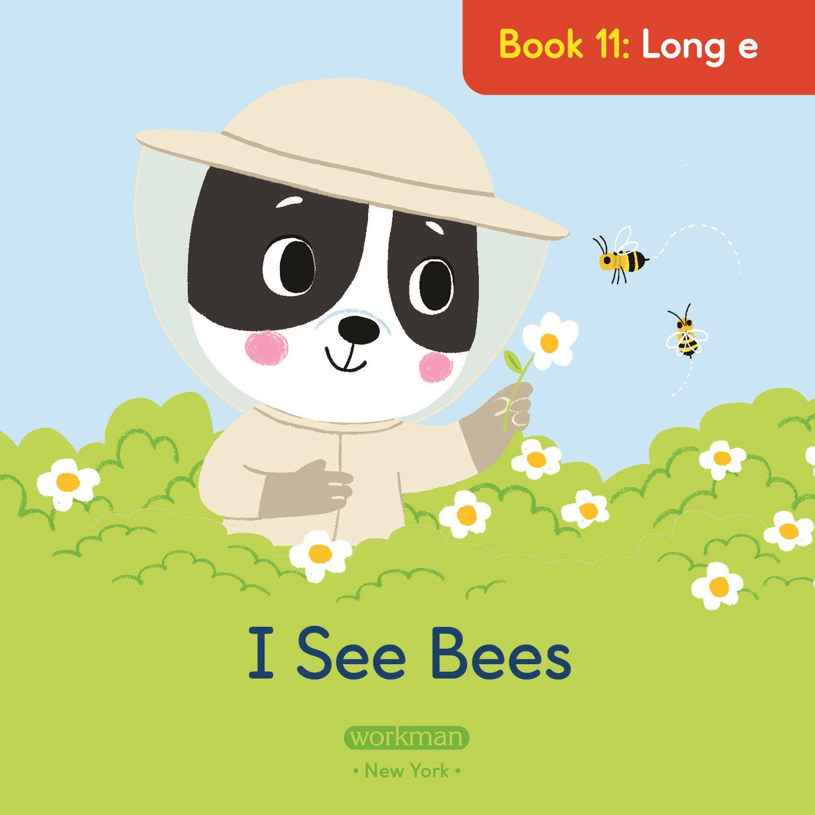 Brain Quest Phonics Readers: Set 1