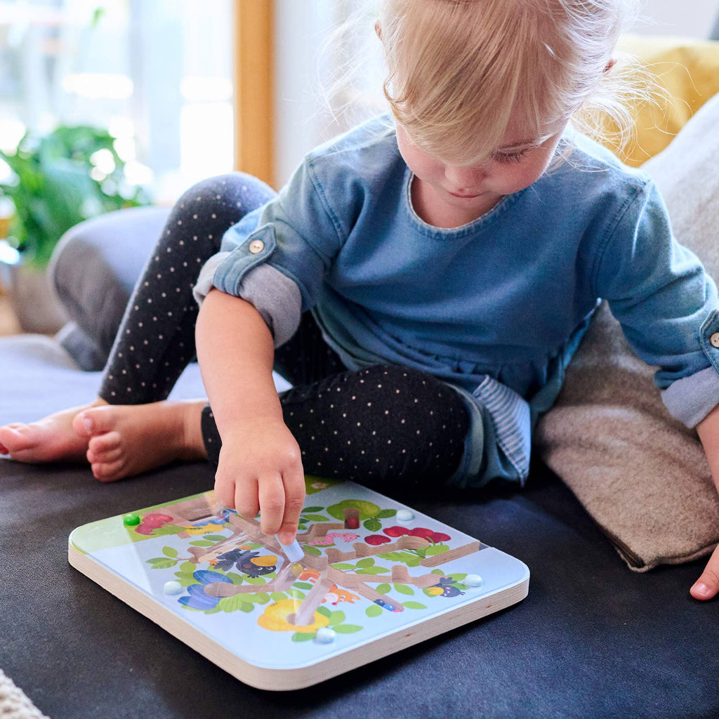 Orchard Maze Magnetic Sorting Game