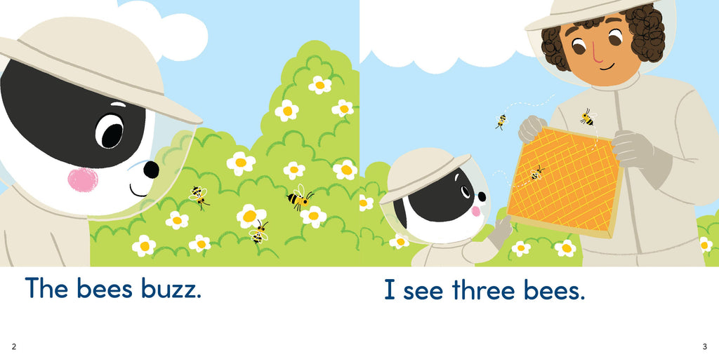 Brain Quest Phonics Readers: Set 1