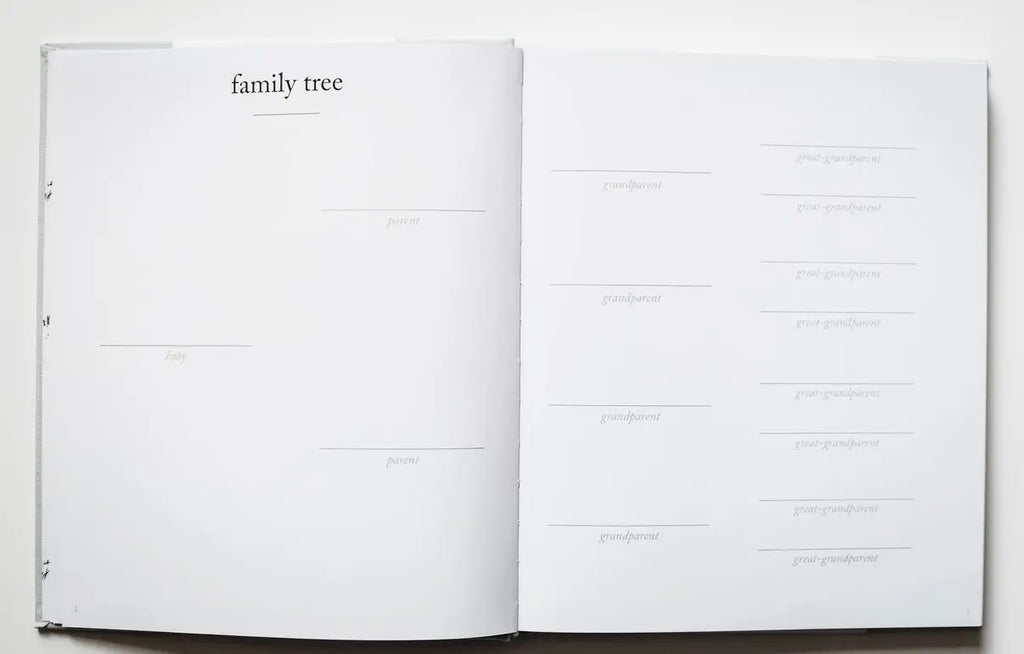 Baby’s First Year Memory Book