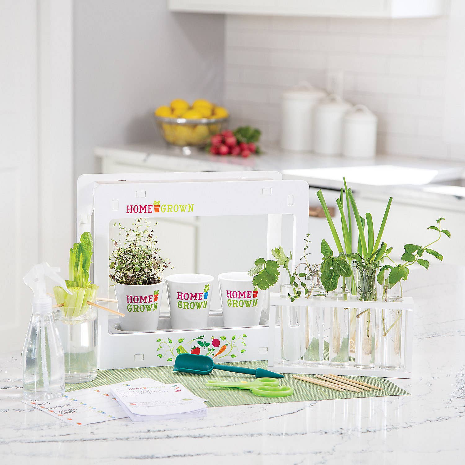 Home Grown: Growing Kit