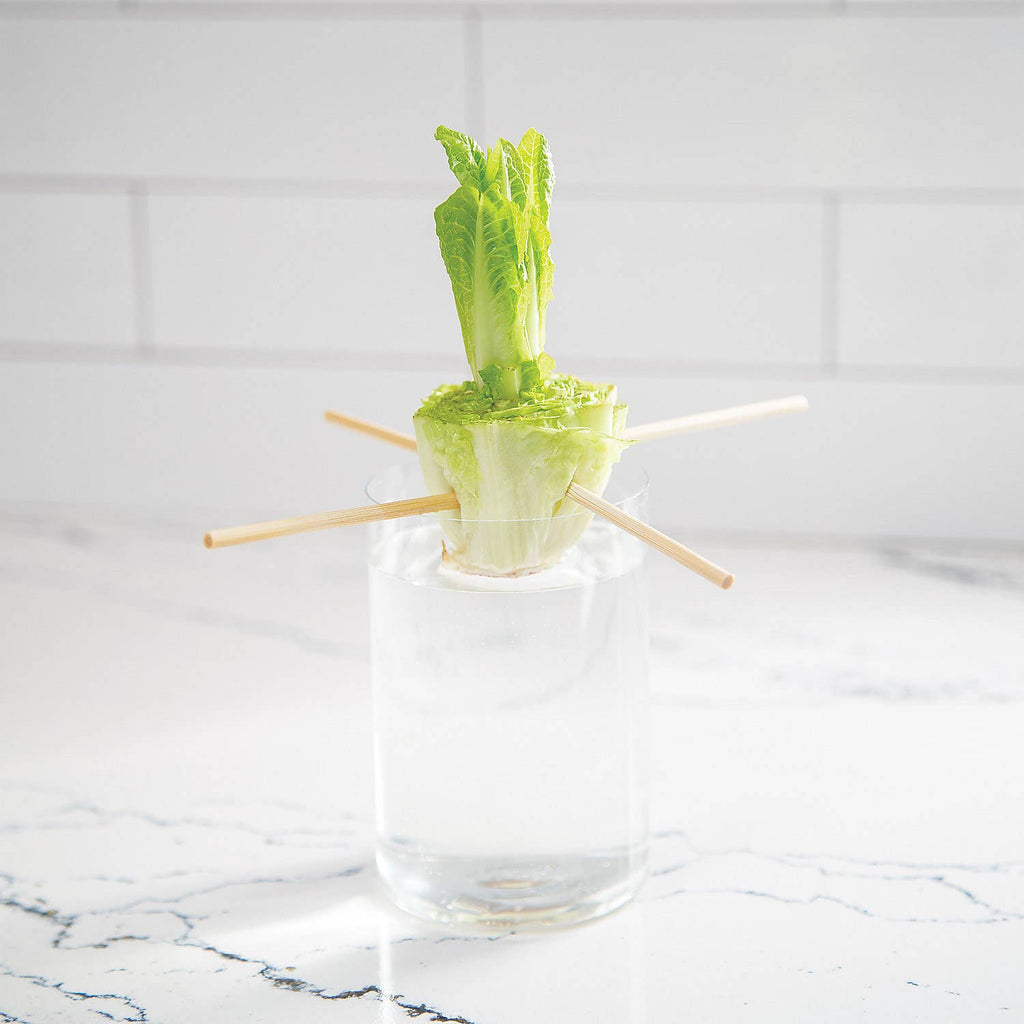 Home Grown: Growing Kit